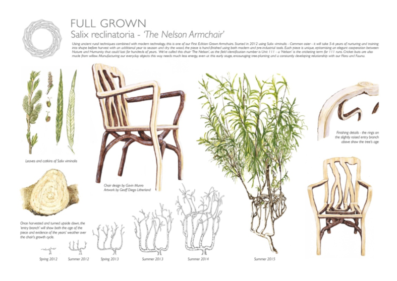Schematische weergave van hoe Gavin Munro planten laat groeien en uitgroeien tot meubels.